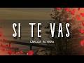 Carlos Rivera - Si Te Vas (Letra/Lyrics)