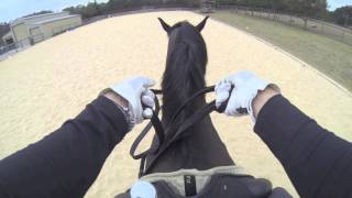 Virtual View: How To Hold & Use Double Bridle Reins