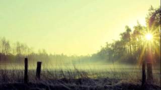 Music video thumbnail preview for Black Moth Super Rainbow - Hazy Morning Organ (live) by Black Moth Super Rainbow