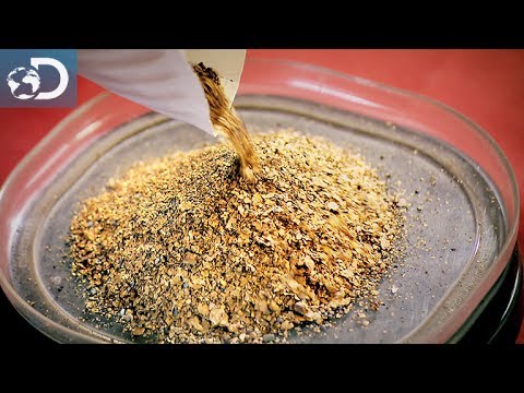 Fred a trouvé un filon ! Alaska : la ruée vers l'or