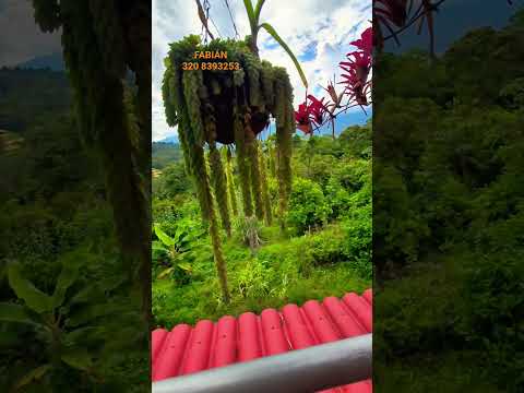FINCA EN FUSAGASUGA CUNDINAMARCA
