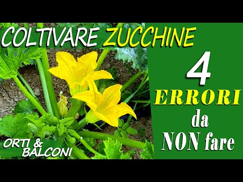 , title : 'COLTIVARE ZUCCHINE | 4 ERRORI da NON fare per avere RACCOLTI ABBONDANTI'