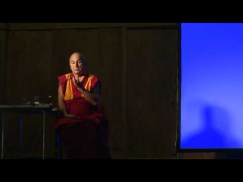 Matthieu Ricard on Happiness - meditation