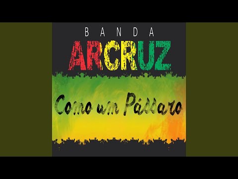 Com Todo Meu Ser video