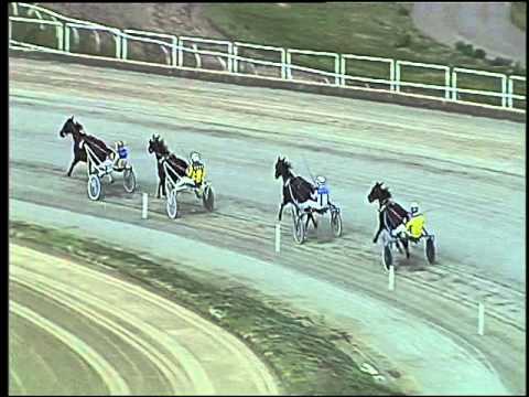 Trotto 24/09/2015 - 2° prova di qualifica