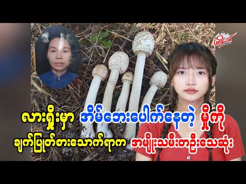 လားရှိုးမှာ အိမ်ဘေးမှာပေါက်နေတဲ့မှိုကို ခူးယူချက်ပြုတ်စားသာက်ရာက အမျိုးသမီးတဦးသေဆုံး