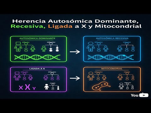 Herencia Autosómica Dominante, Recesiva, Ligada a X y Mitocondrial