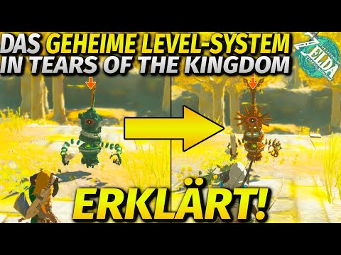 *NEW* The secret leveling system explained in detail! ► Zelda Tears of the Kingdom