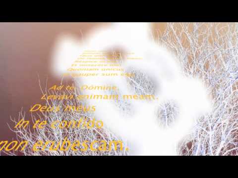 Tempus Quadragesimae - hebdomada III - Dominica: "Oculi mei"