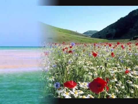 Shaggy feat Gary Nesta Pine Fly High Resource Remix