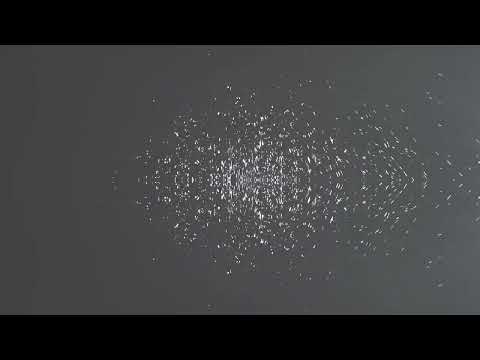 G.Rag y los Hermanos Patchekos  - Time Has Come Today