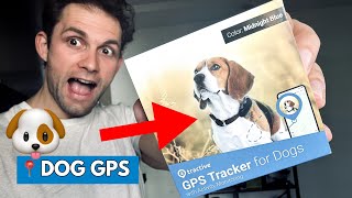 Tractive GPS Tracker for Cats & Dogs - Keep Your Pet Safe with an Easy-to-Use App!