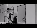 Apple Blossom S Reaction Dog Attacks White Spy Covered With Black Paint