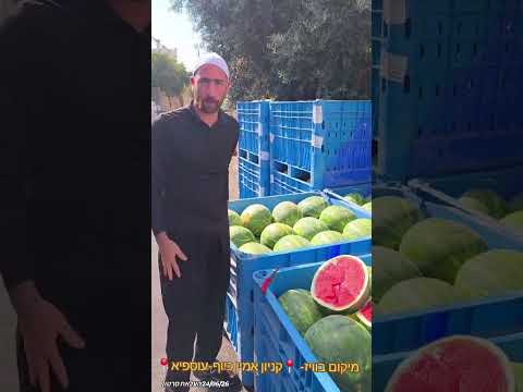קניון אמין כיוף עוספיה שקל 90 לק
