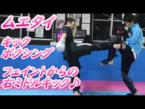 初心者向けキックボクシングテクニック フェイントからの右ミドルキック ムエタイ