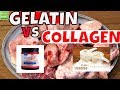 Do You Know The Difference Between Collagen VS Gelatin.