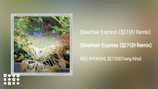 [Official Audio] HYUKOH(혁오), Chang Kiha(장기하) - Silverhair Express (장기하 Remix)