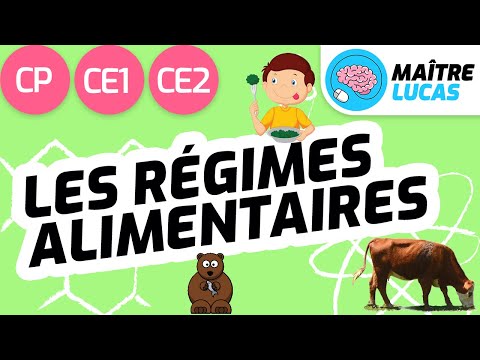 Les régimes alimentaires CE1 - CP - CE2 - Cycle 2 - Questionner le monde - Le monde du vivant