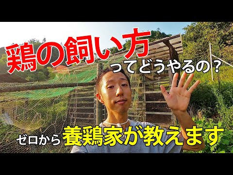 幸せな羽の生えた鳥を育てるために、鶏小屋に泥が入らないようにするにはどうすればよいでしょうか?試してみたい6つの素晴らしいアイデア  庭園