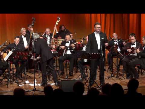 Slavko Našigaćin  - 20 godina solističke karijere na RTV .