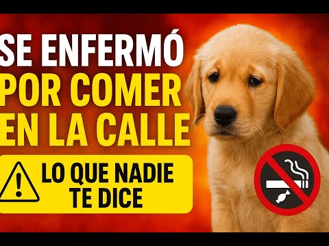 La Película de mi PERRO comiendo porquerias del suelo.😨 No aprende!