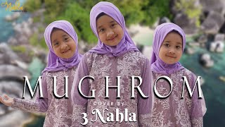 Download lagu MUGHROM - 3 NAHLA (Cover) mp3 Download lagu MUGHROM - 3 NAHLA (Cover) mp3