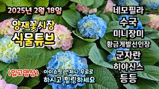 저번주는 봄인가 싶더니 이번주는 너무 춥네요 ㅠㅠ  그래도 꽃 안보고 살수는 없지요~ 시청 하시러 가시죠~~…