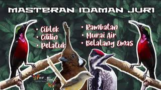 Download lagu Masteran Konin Full Isian kesukaan JURI || LABIH PEDASSS !!! mp3 Download lagu Masteran Konin Full Isian kesukaan JURI || LABIH PEDASSS !!! mp3