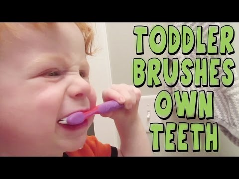TODDLER BRUSHES OWN TEETH Video