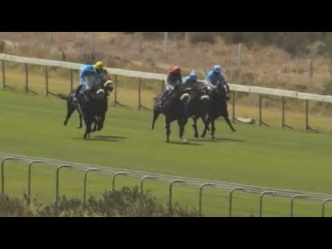 COSMIC HIGHWAY - 2021 CAPE OF GOOD HOPE NURSERY