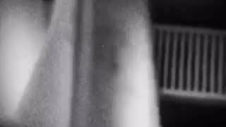 güntaç özdemir/öyle demek istemedim (cover) #cover
