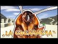 LA CUCARACHA | BLOQLER 