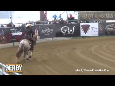 White Knight Time ridden by Anne M. Albert  - 2016 NRCHA Derby (Prelims - Rein Work, NP Ltd.)