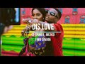 DJ SPINALL – DIS LOVE FT. WIZKID, TIWA SAVAGE [Lyrics & 432Hz]