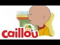 Caillou The Treasure Chest S02E02 Videos For Kids