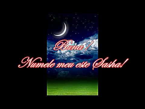 Sasha,my little dog,my angel 😍😍😇