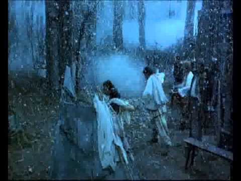 Le voyage du capitaine Fracasse