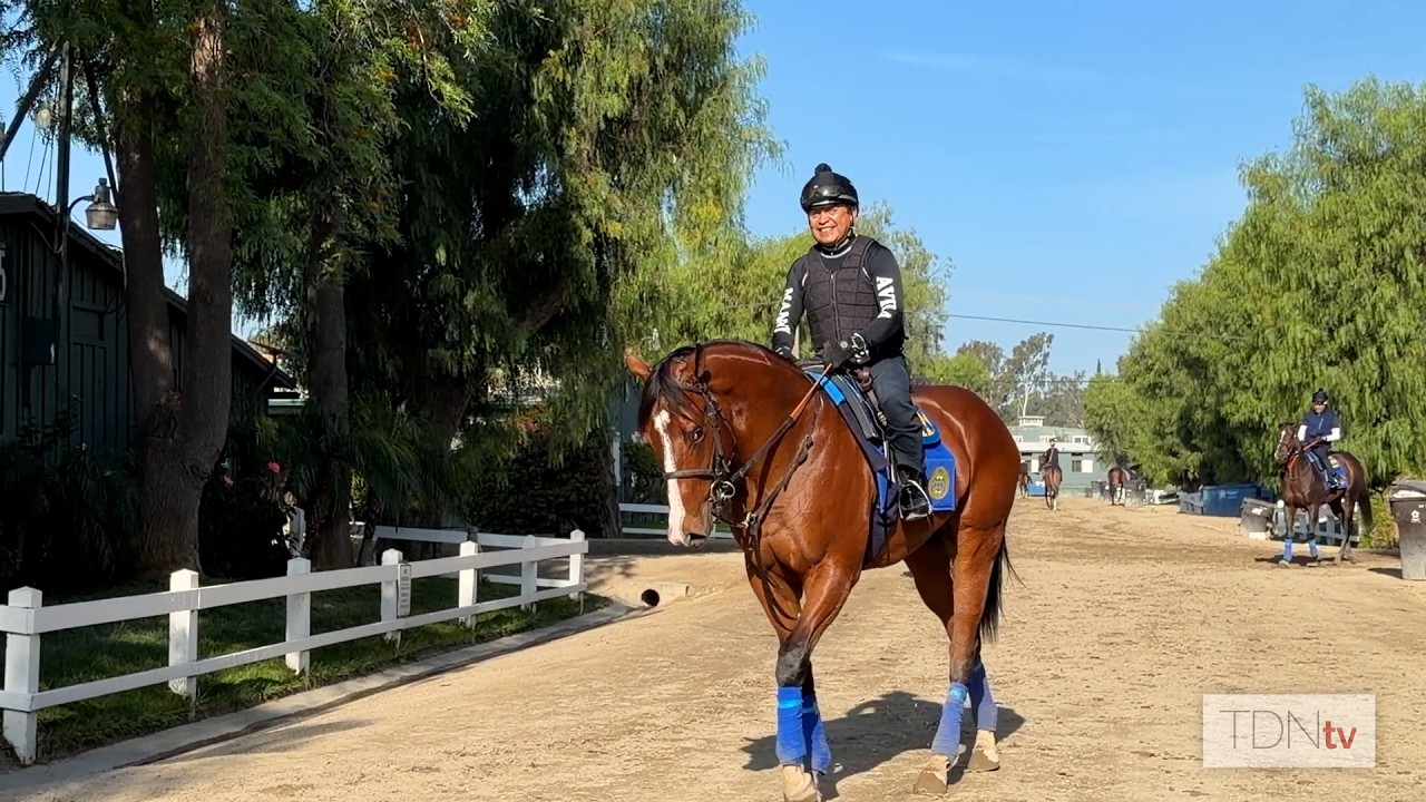 1/ST Things 1/ST: Zoe Cadman checks in with 