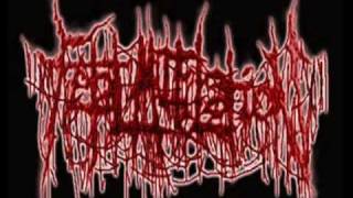 Fetal Mutilation - Grinded Brains For Midnight Snack