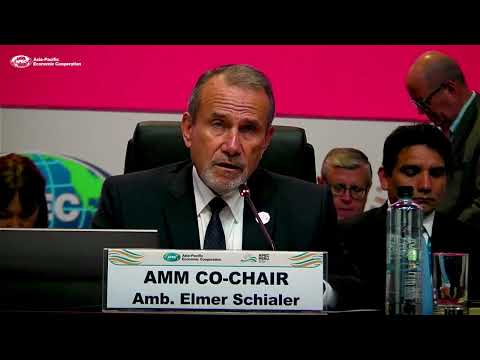 Minister Schialer: From Commitment to Real Outcomes | APEC