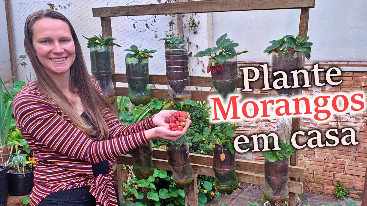 Easy Method to Plant STRAWBERRIES (Even with Little Space)🍓Vertical Garden 🌱