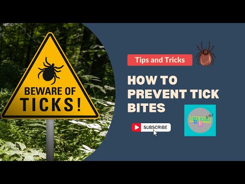 The Truth About Ticks: Prevention, Bites, Disease Risks