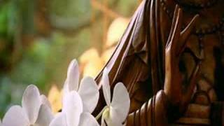 Enemies of reason: The Irrational Health Service Part1