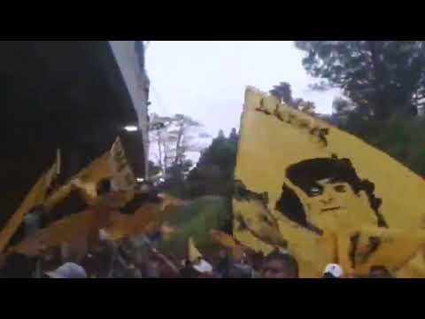 "PREVIA AURINEGRA // AVALANCHA SUR 1997 CAPOS DE VENEZUELA" Barra: Avalancha Sur &bull; Club: Deportivo Táchira