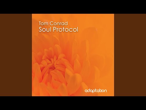 Soul Protocol (Original Mix)