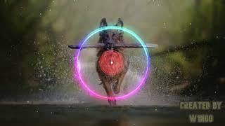 Guus Meeuwis Het Is Een Nacht live