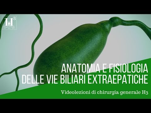 Crema per il corpo cinquefoil nelle recensioni articolazioni Evalar Cosa fare se un forte dolore al collo