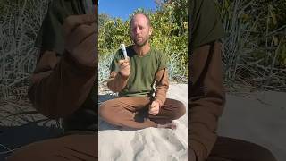 Health Check In - Year of Foraging My Food
