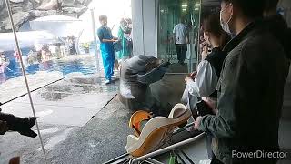 【三重県】鳥羽水族館 海獣の餌あげる現場