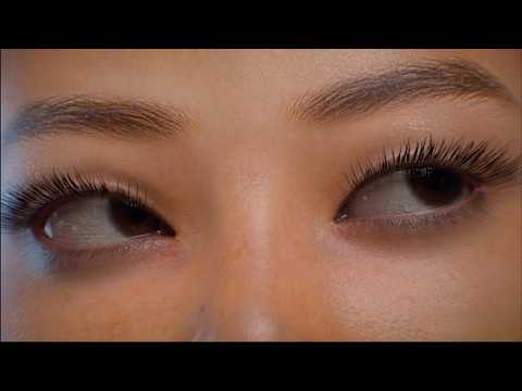 LIL X - Dara (ดารา) (Official Visualizer)